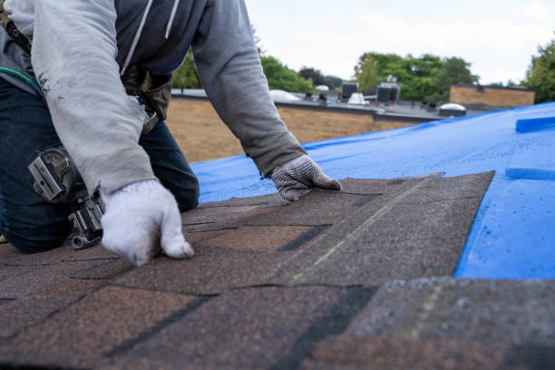 Best Metal Roofing Contractor  in Weldon, CA